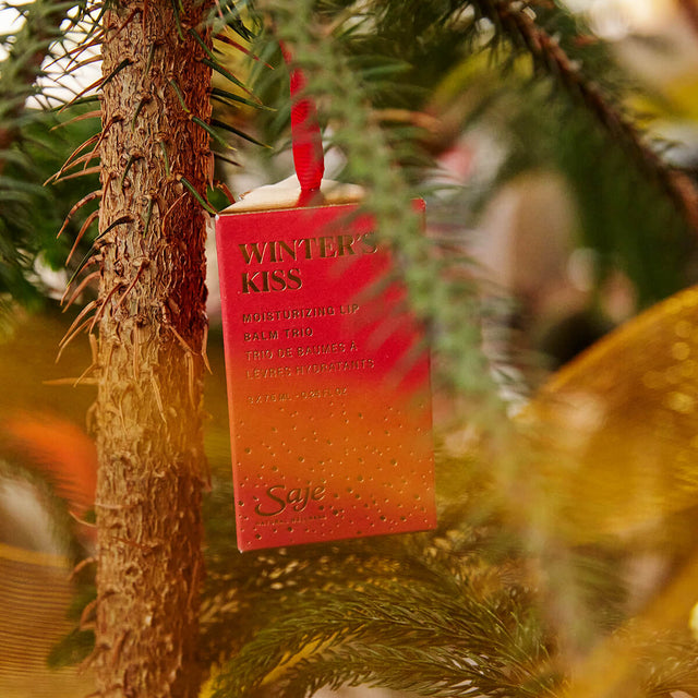 Winter's Kiss Moisturizing Lip Balm Trio in packaging hanging from a lit up Christmas tree.