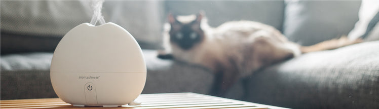 a cat lounging on a couch behind an oil diffuser