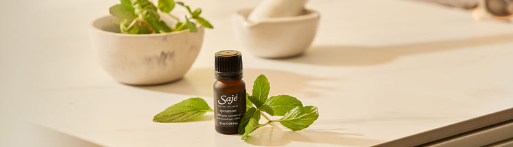 Spearmint 100% pure essential oil placed with spearmint on kitchen table