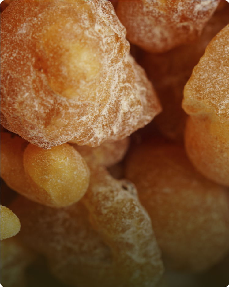 WHAT IS FRANKINCENSE OIL? THE BENEFITS AND USES OF FRANKINCENSE OIL
