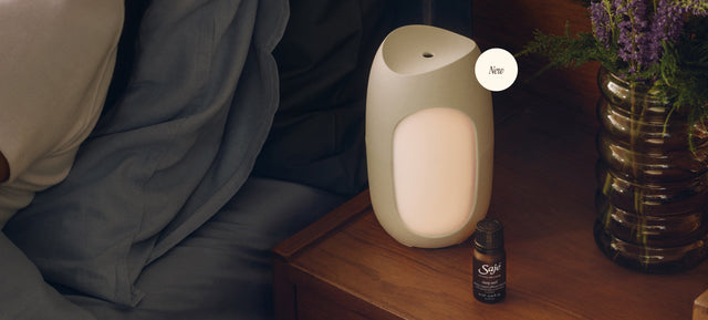 Sleep, Stress, and the Power of Small Nightly Rituals