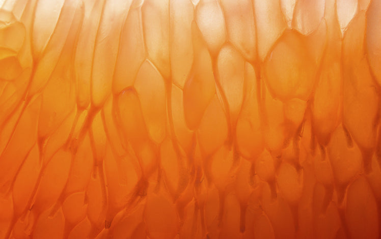 ALL ABOUT GRAPEFRUIT OIL: BENEFITS, USES, HISTORY, AND MORE