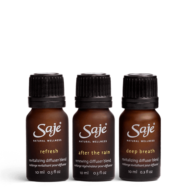 Hit Refresh Minty Bliss Diffuser Blend Trio - Saje Natural Wellness