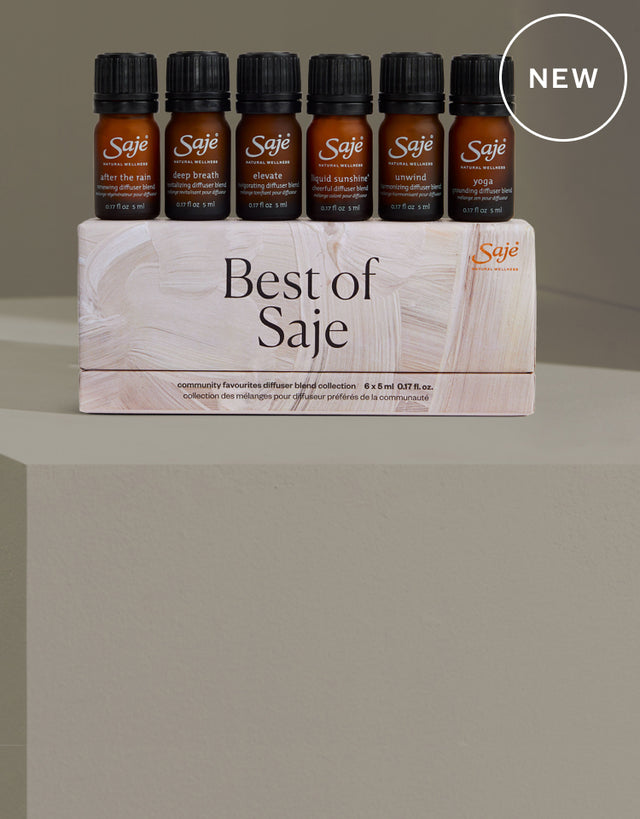 The Best of Saje Diffuser Blend Collection bottles sit on top of their box.