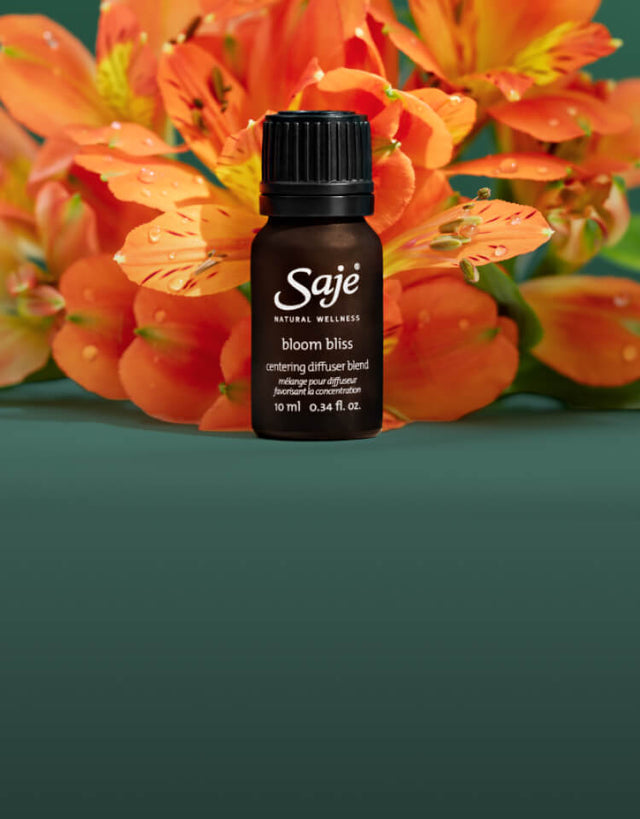 Limited edition Bloom Bliss diffuser blend with bright orange rhododendron flowers arranged behind it.