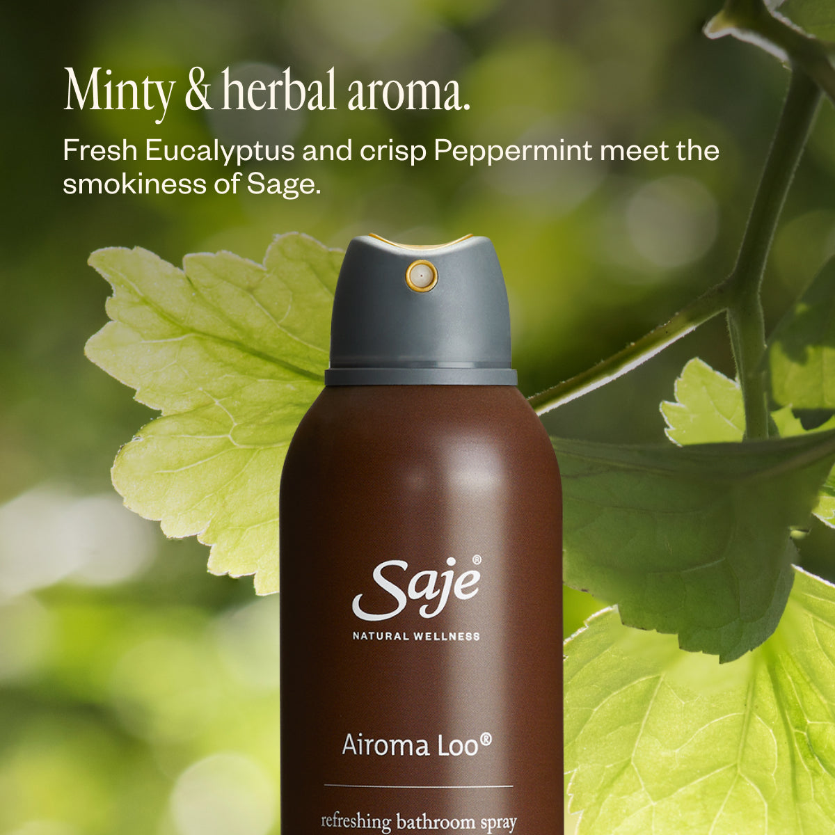 Airoma Loo Room Spray - Saje Natural Wellness