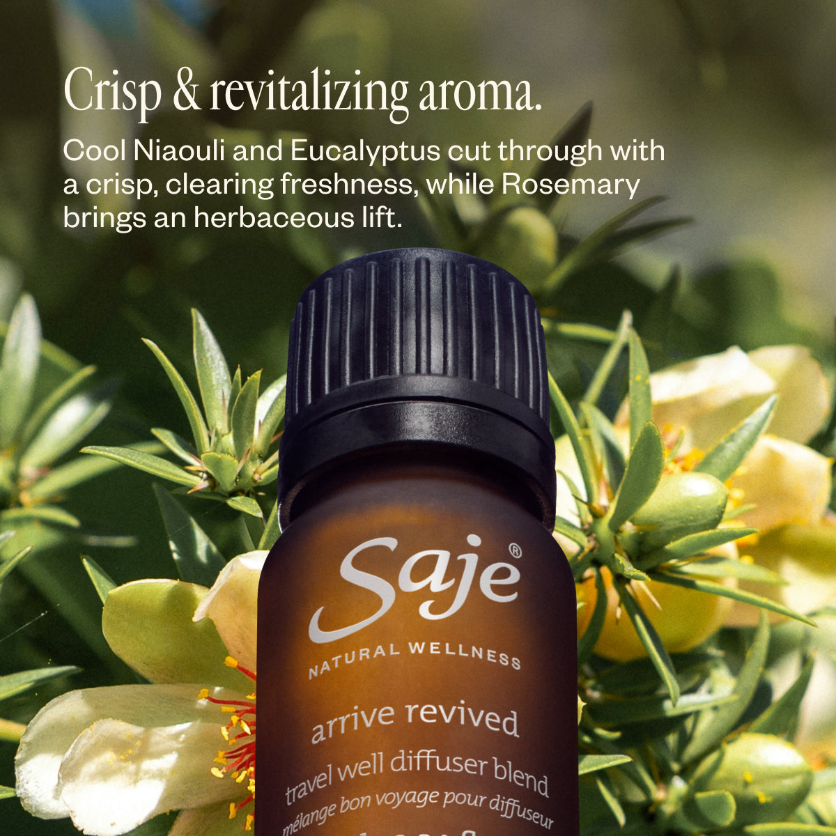 Arrive Revived Carry-On Kit Energizing Travel Essentials - Saje