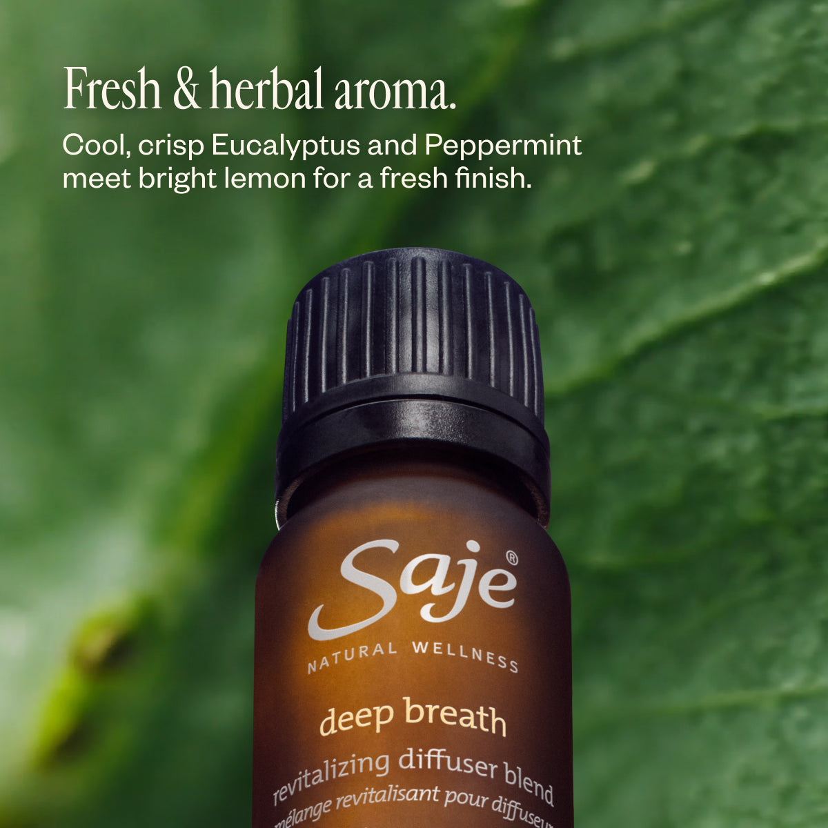 Deep Breath Revitalizing 10ml Diffuser Blend - Saje Natural Wellness