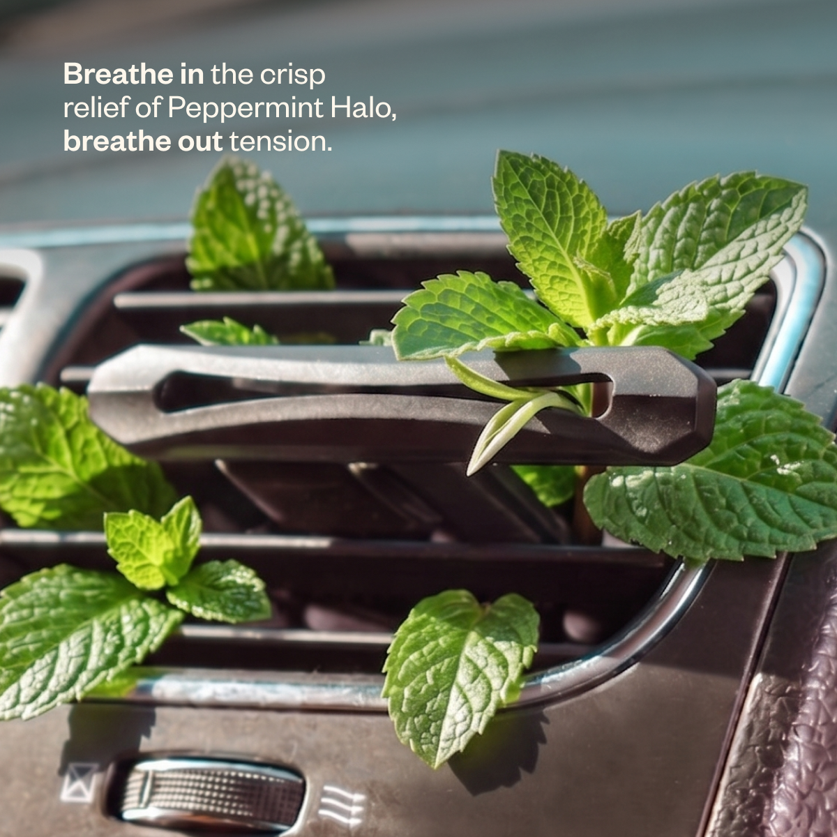 Drive Relaxed Aroma Horizon Next Gen Car Diffuser & Peppermint