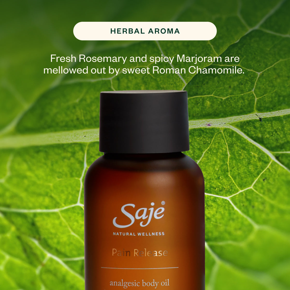 Pain Clinic Advent Calendar