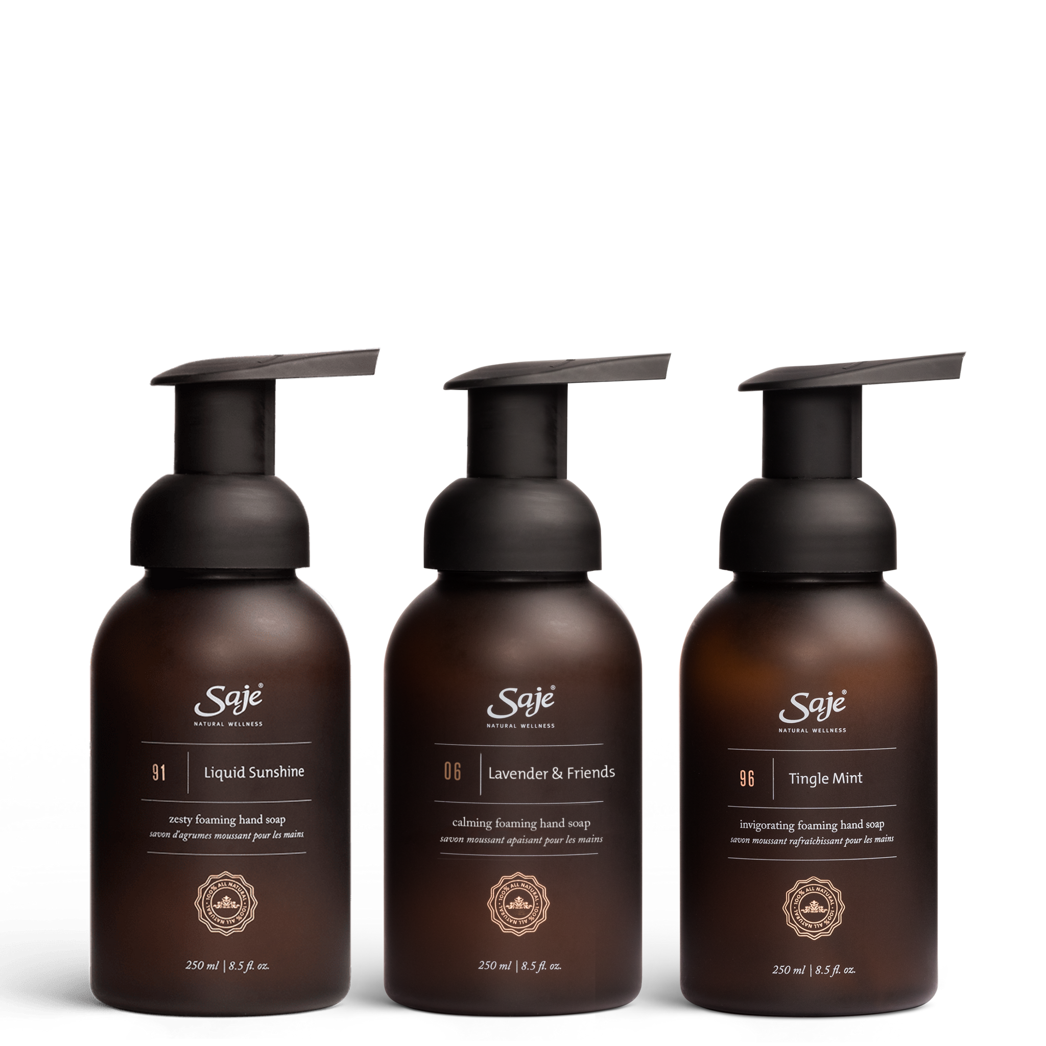 Foaming Hand Soap Trio - Saje Natural Wellness