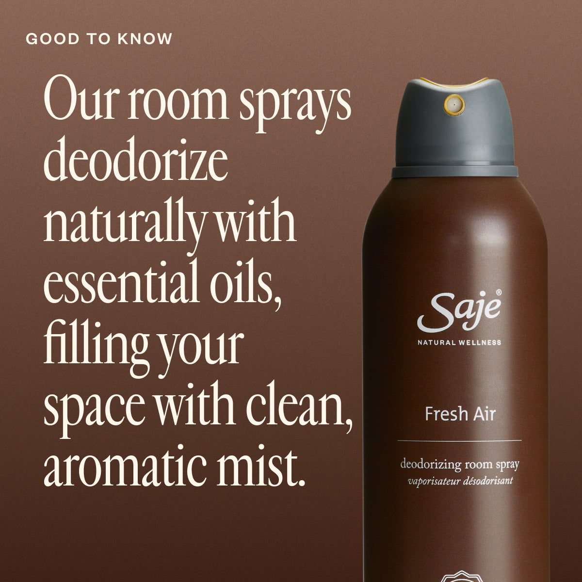 Fresh Air Deodorizing Room Spray - Saje Natural Wellness