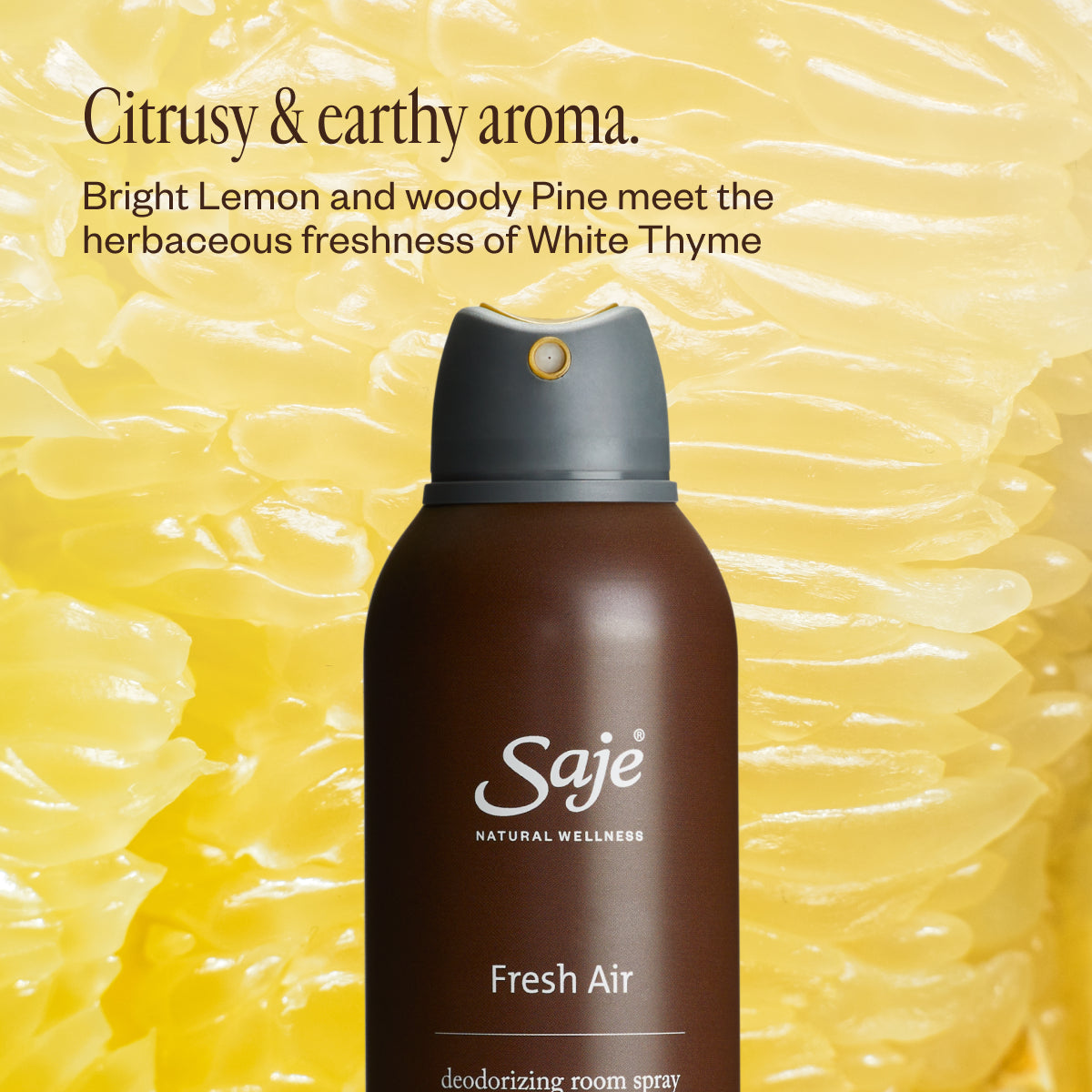 Fresh Air Deodorizing Room Spray - Saje Natural Wellness