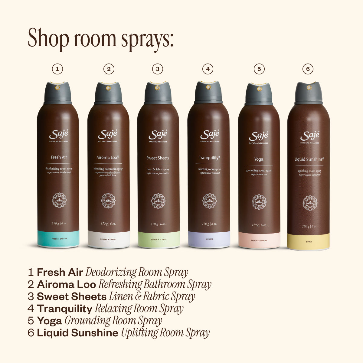 Fresh Air Deodorizing Room Spray - Saje Natural Wellness