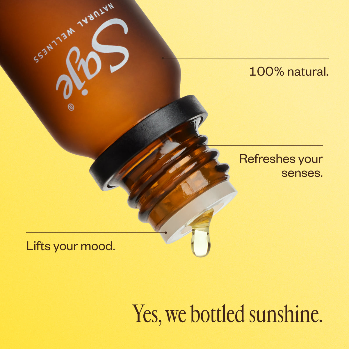 Liquid Sunshine