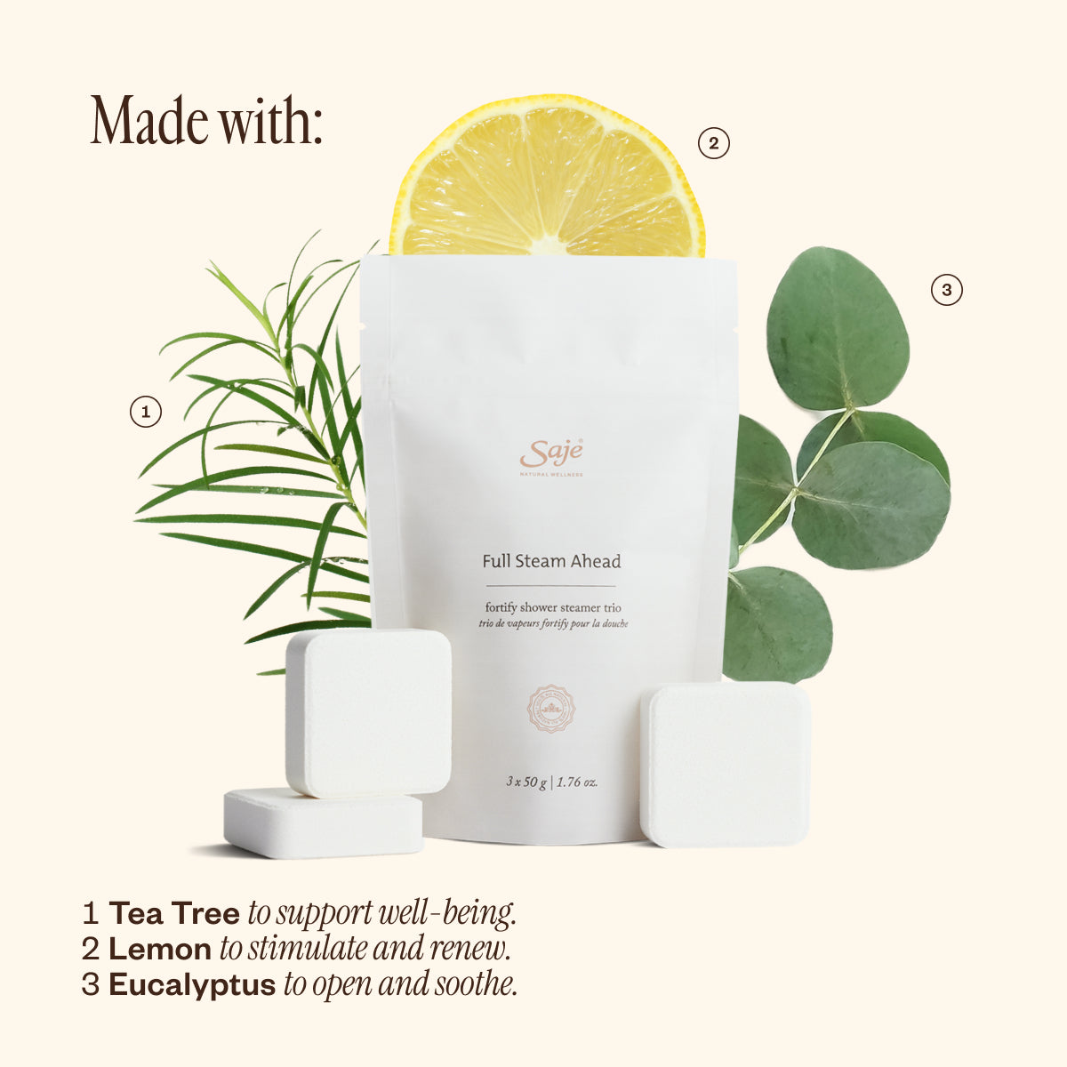 Wellness Retreat