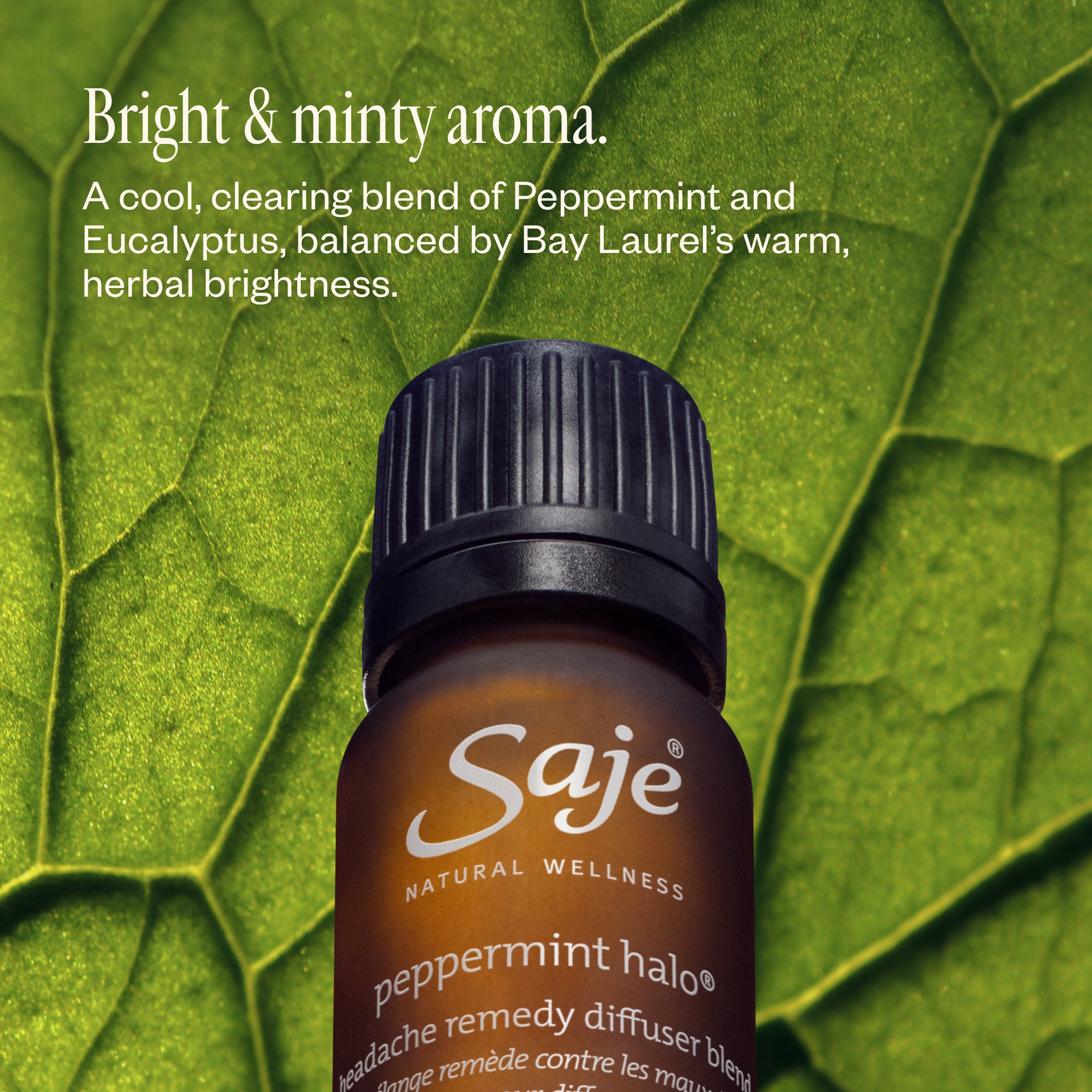 Peppermint Halo Headache Remedy Diffuser Blend - Saje Natural Wellness