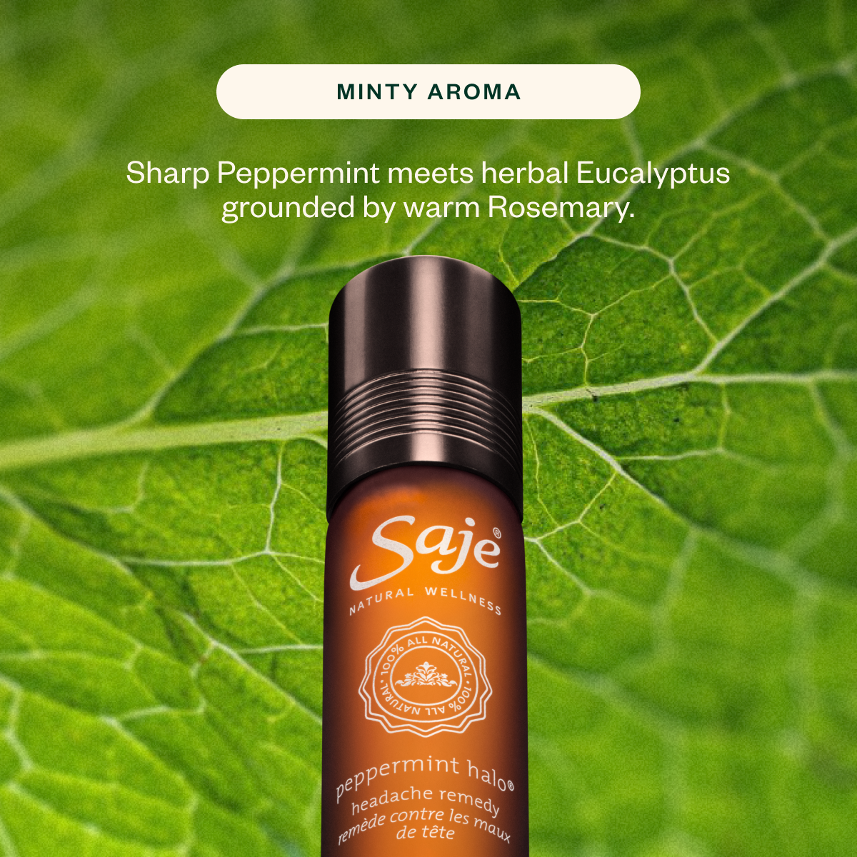 Merry Mint Wellness Kit