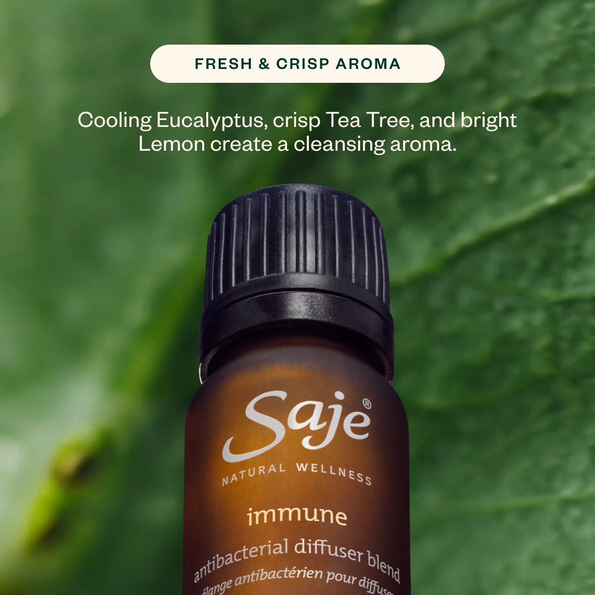 Rundown Resist Wellness Kit