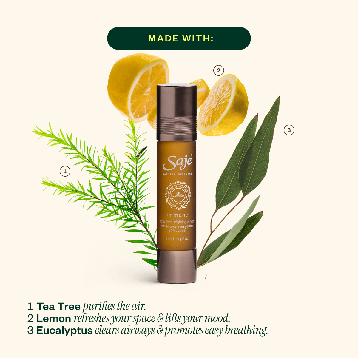 Rundown Resist Wellness Kit