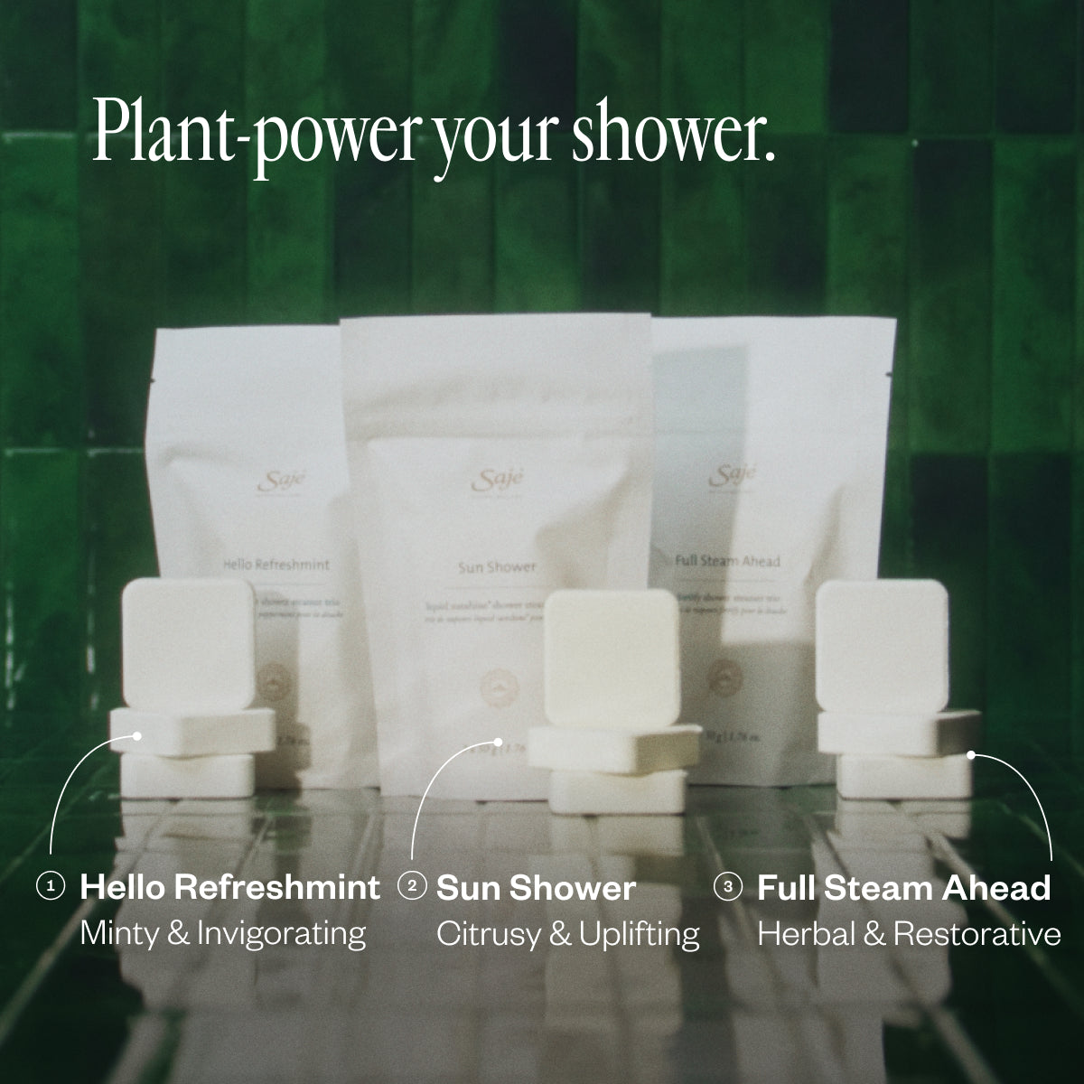 Shower Steamer Collection