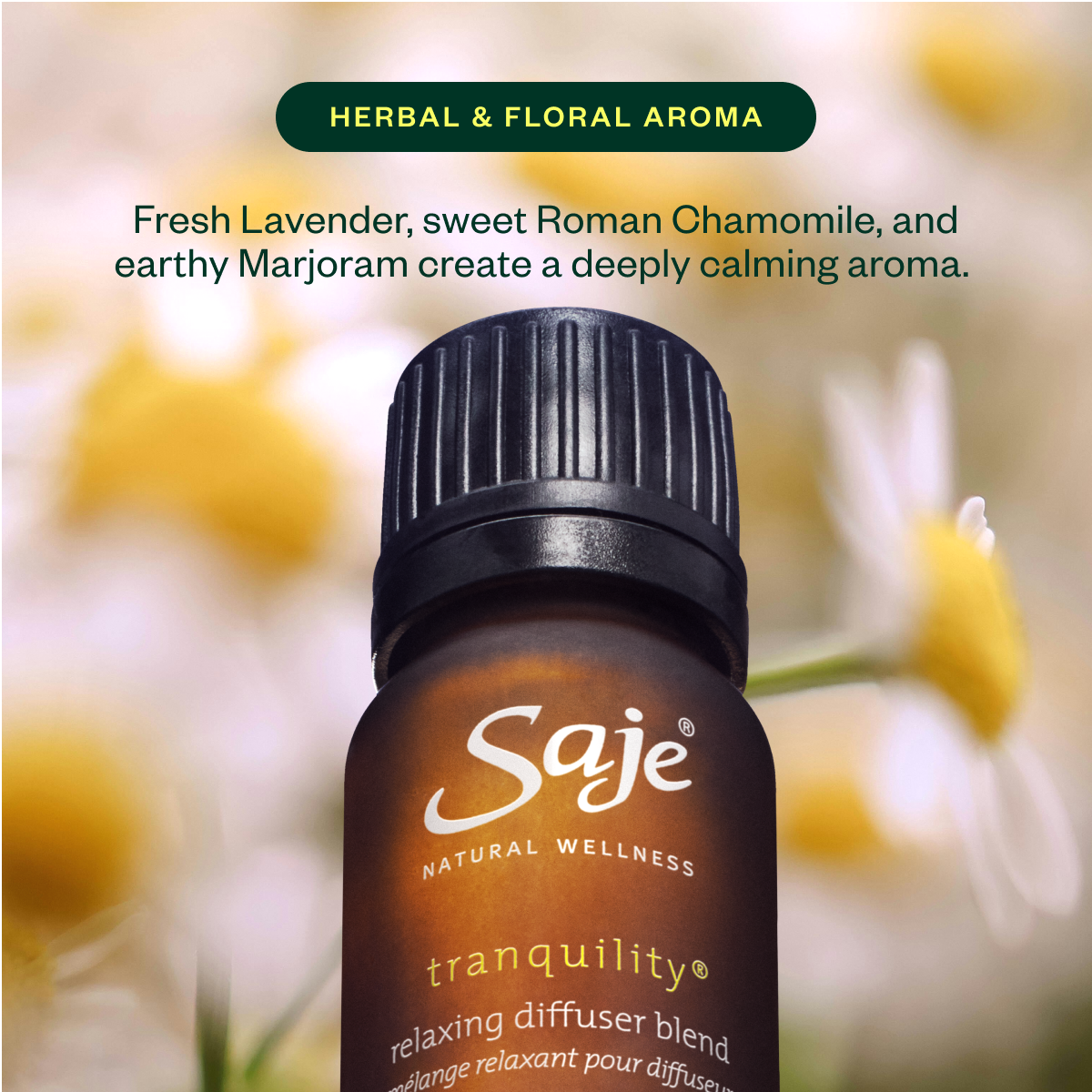 Silent Nights Wellness Kit