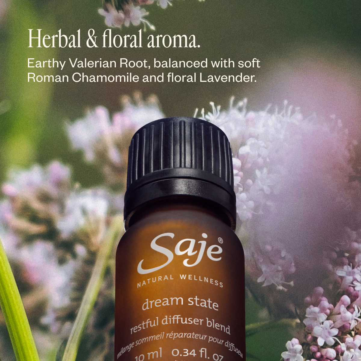 Slumber Party Diffuser Blend Trio