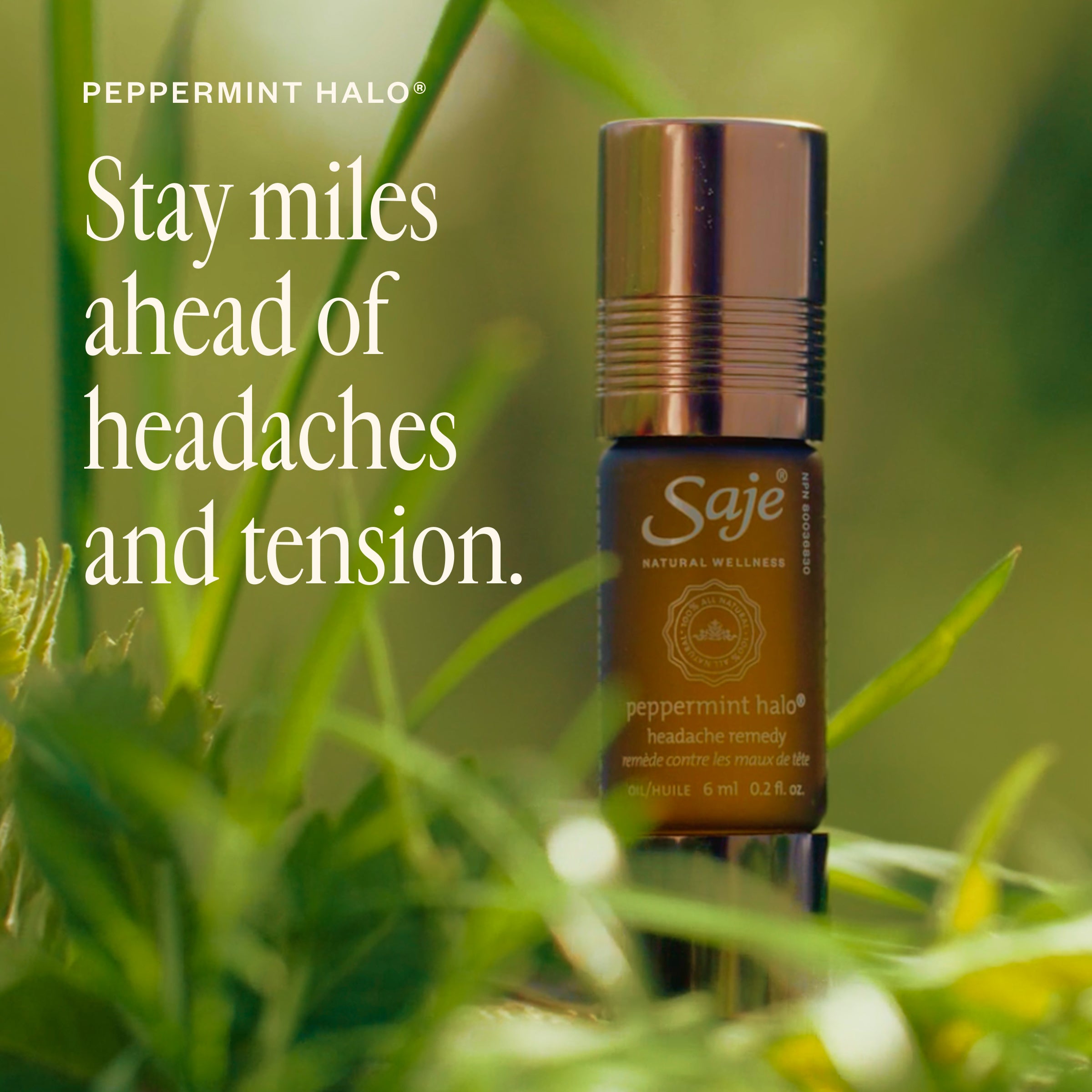 Summer SOS Seasonal Survival Kit - Saje Natural Wellness
