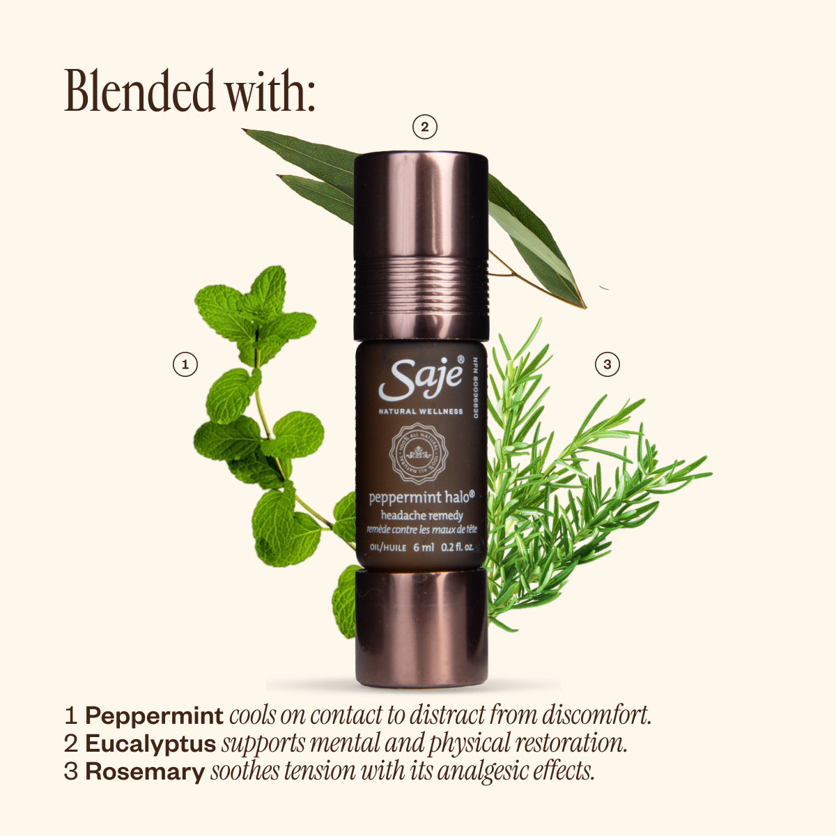 Summer SOS Seasonal Survival Kit - Saje Natural Wellness