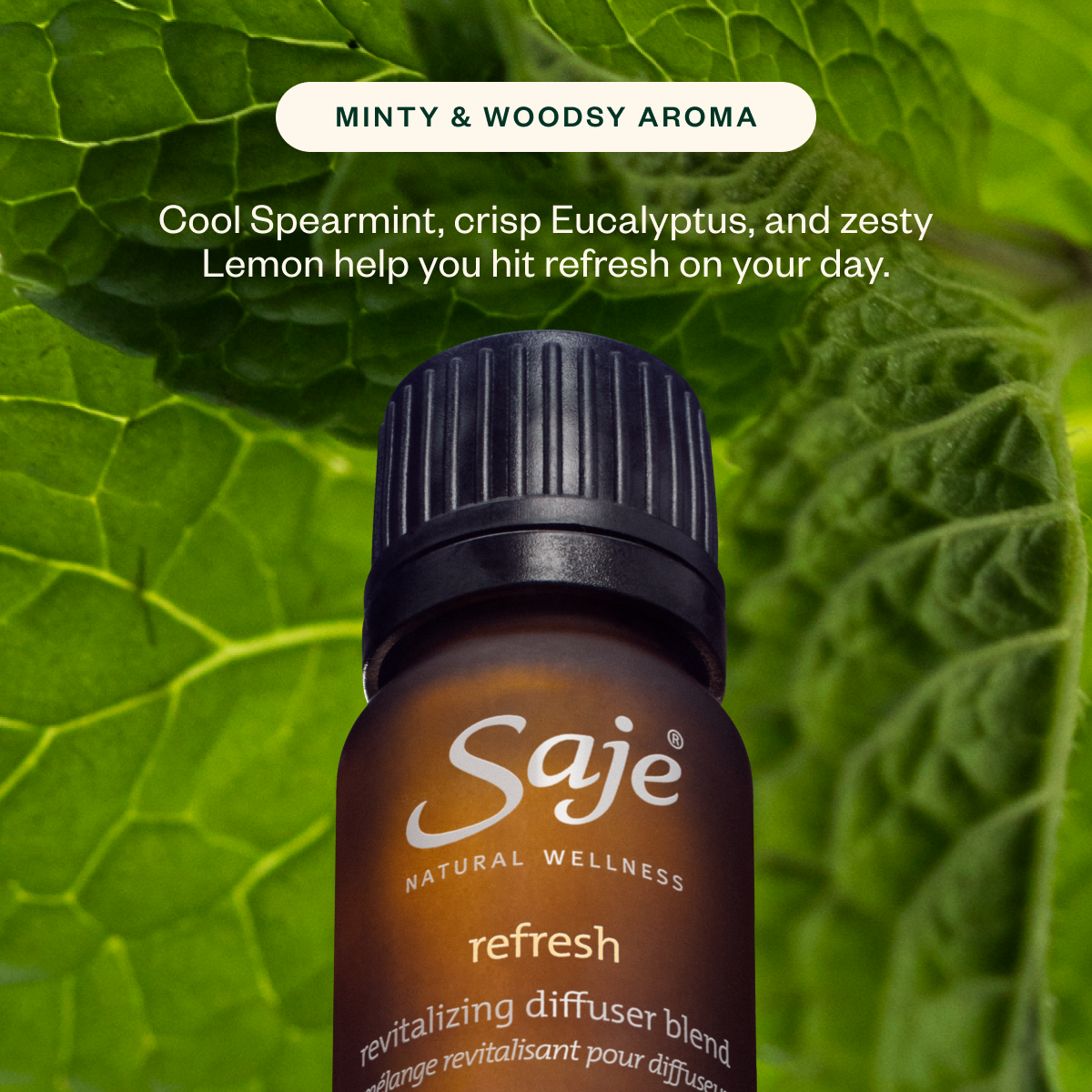 The Power Up Wellness Kit