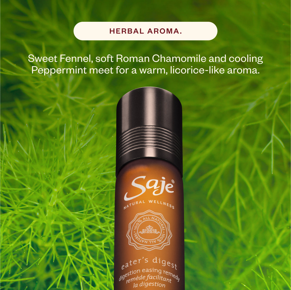 Eat, Drink & Be Merry