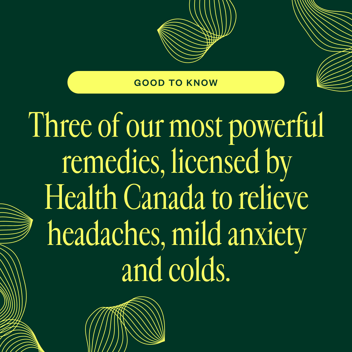 Your Farmacy | Tweed