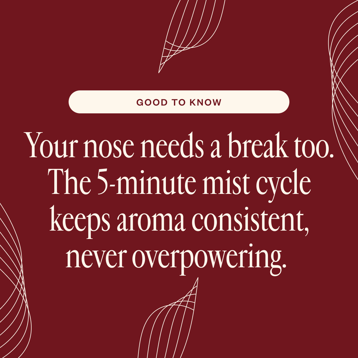 Aroma Cocoon & Vanilla & Chill