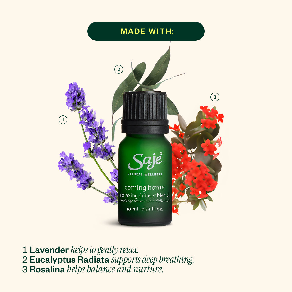 Peppermint Twist, Snowed In and Coming Home