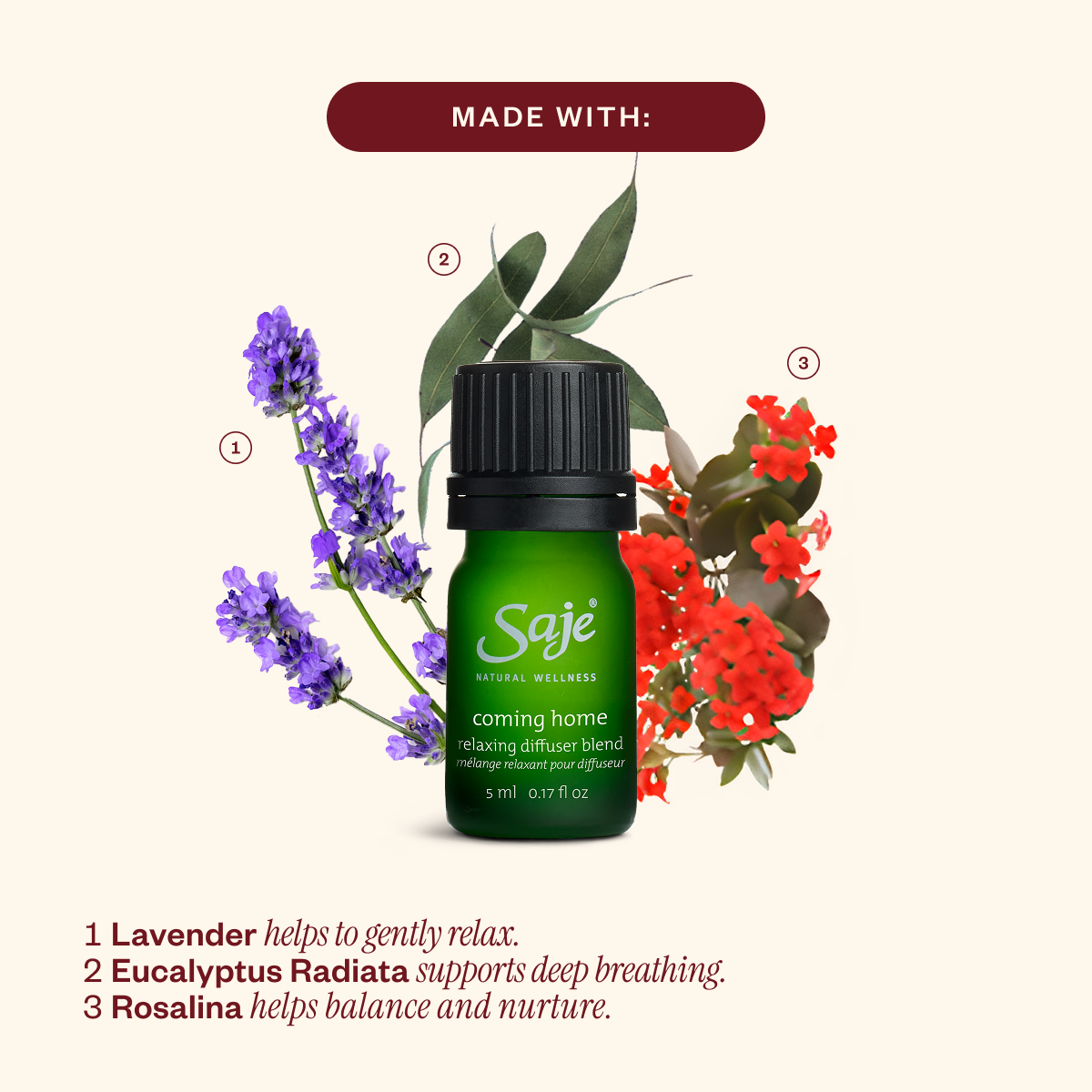 Aroma Lustre & The Season’s Best