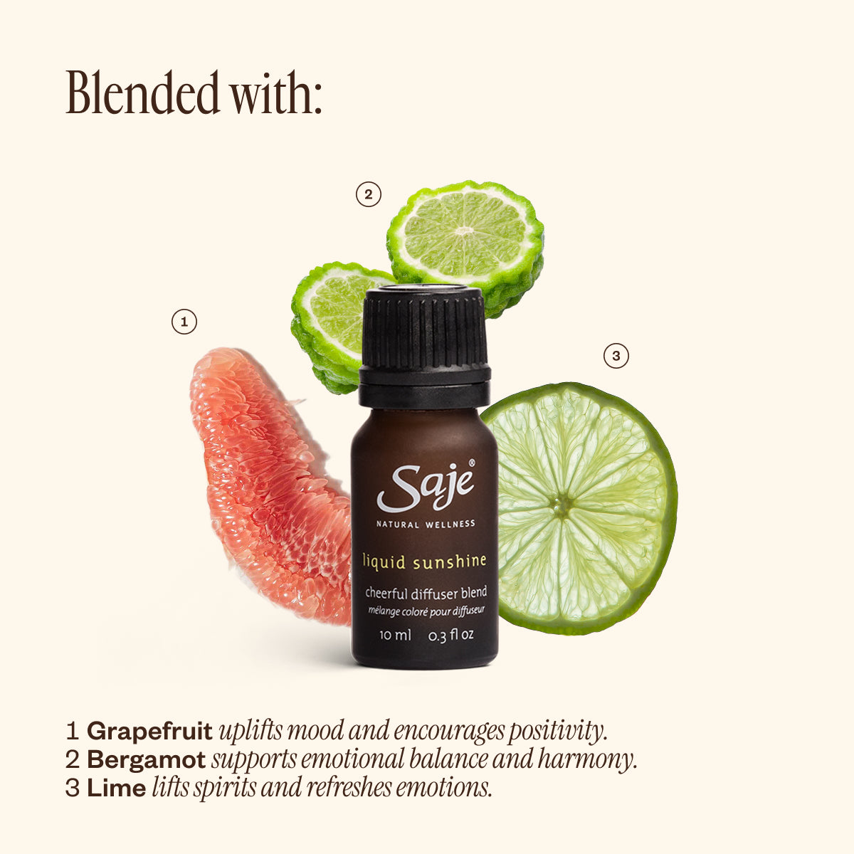 The Best of Saje Bundle Aroma Om Ultrasonic Diffuser, Liquid
