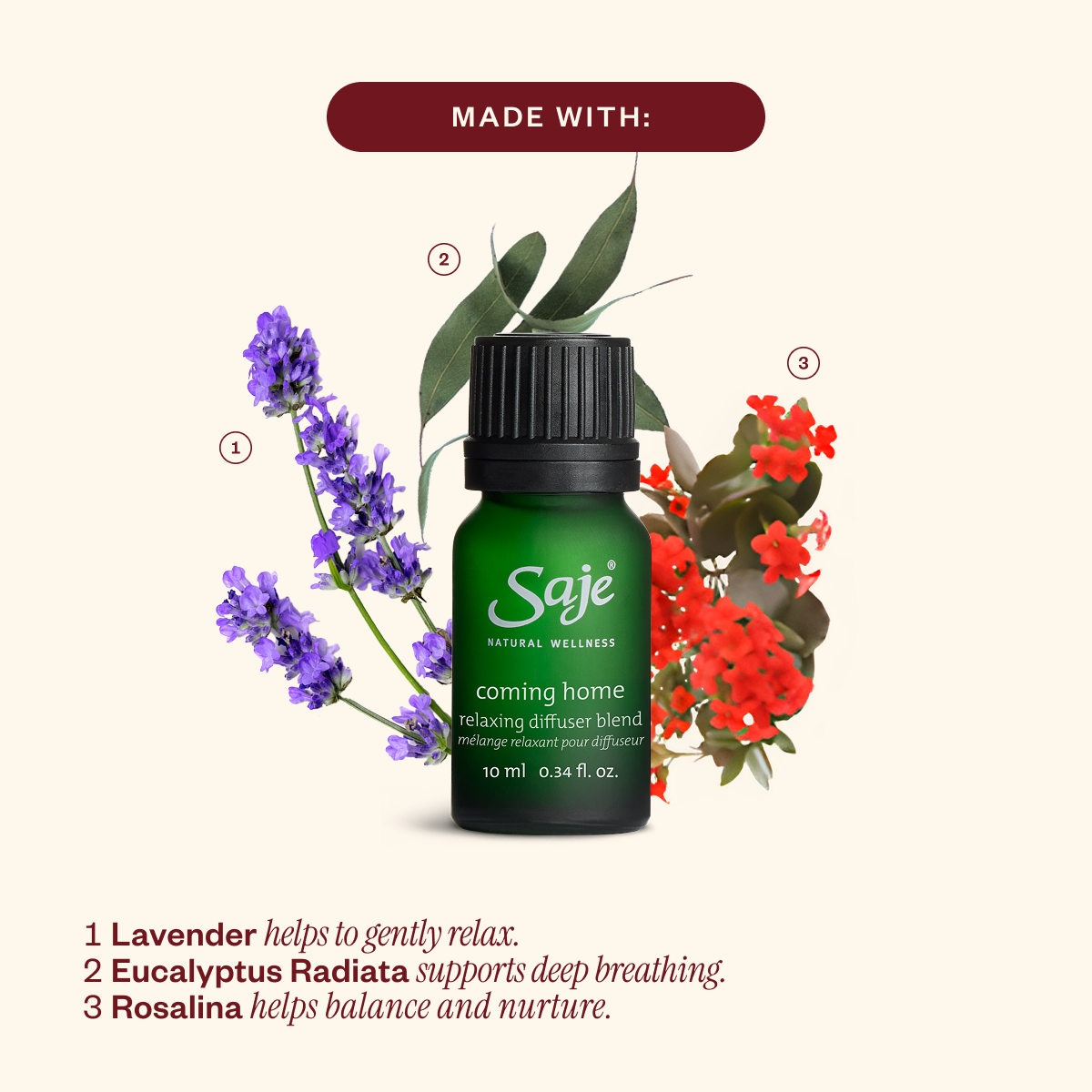 Home for the Holidays