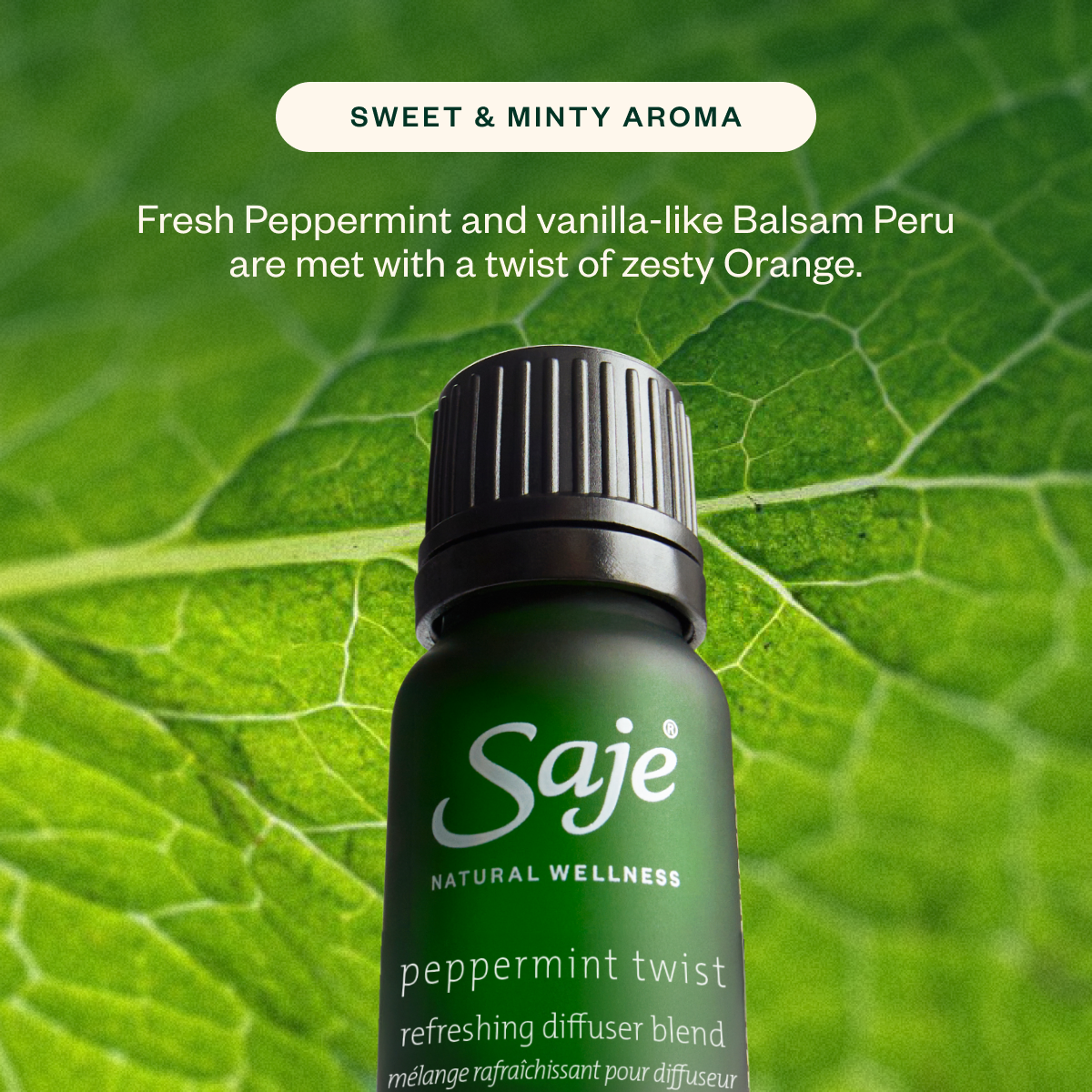 Aroma Halo & The Joy Drop