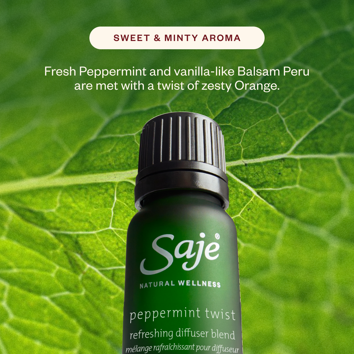 Aroma Light & The Joy Drop