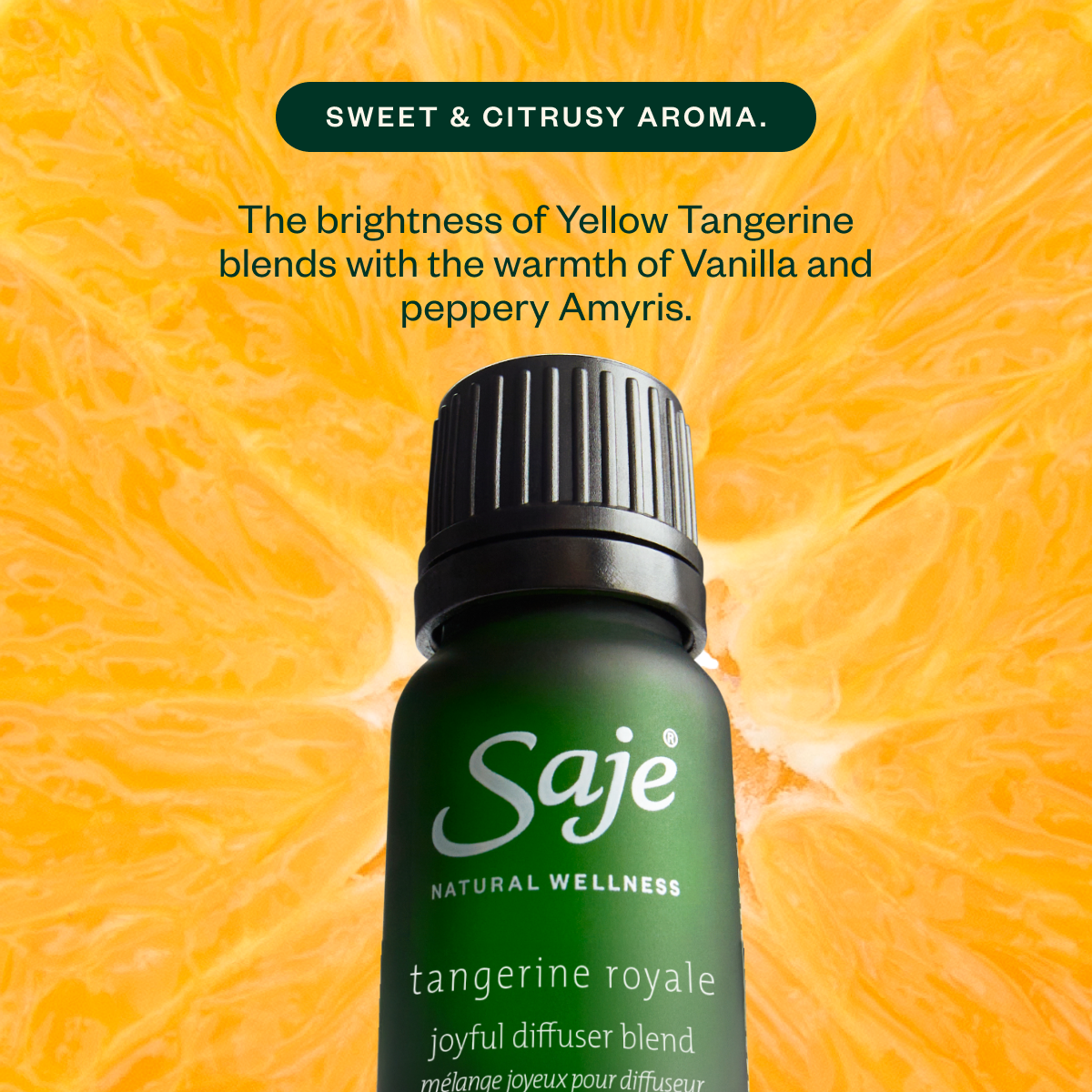 Aroma Halo & The Joy Drop