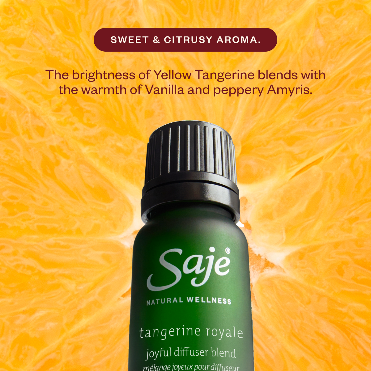 Aroma Light & The Joy Drop