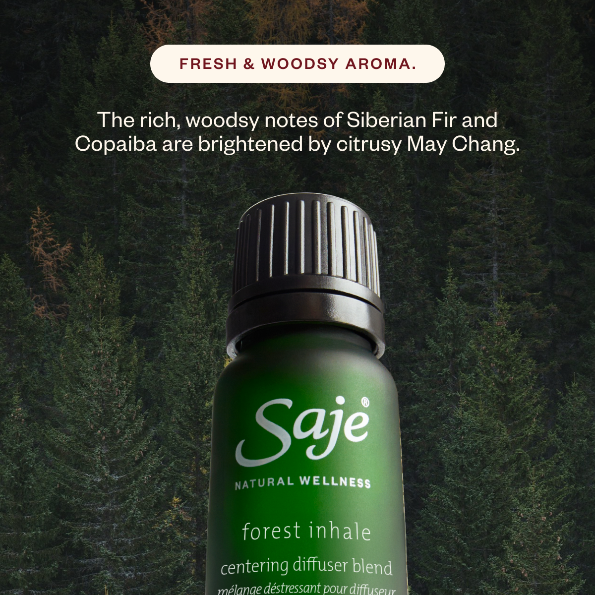 Aroma Light & The Joy Drop