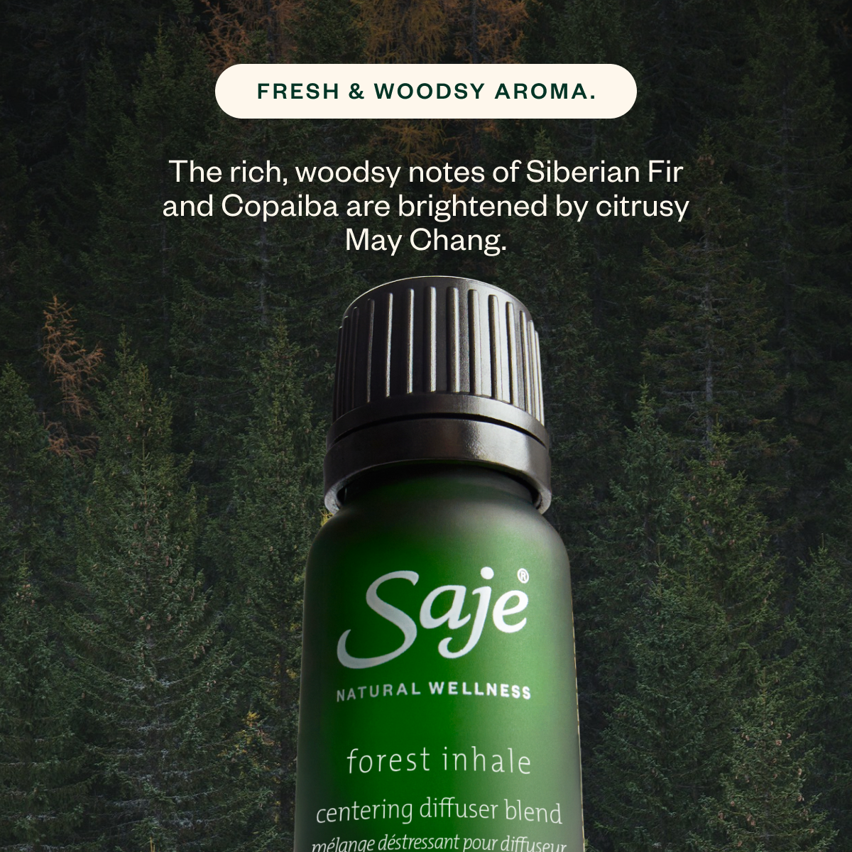 Aroma Halo & The Joy Drop