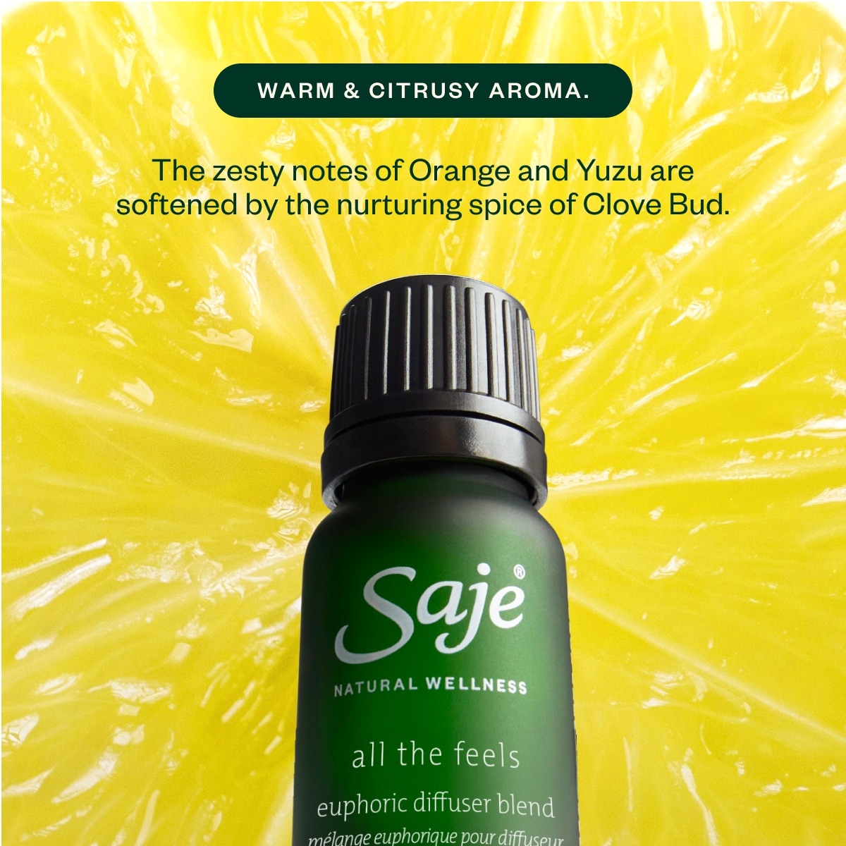 Aroma Halo & The Joy Drop