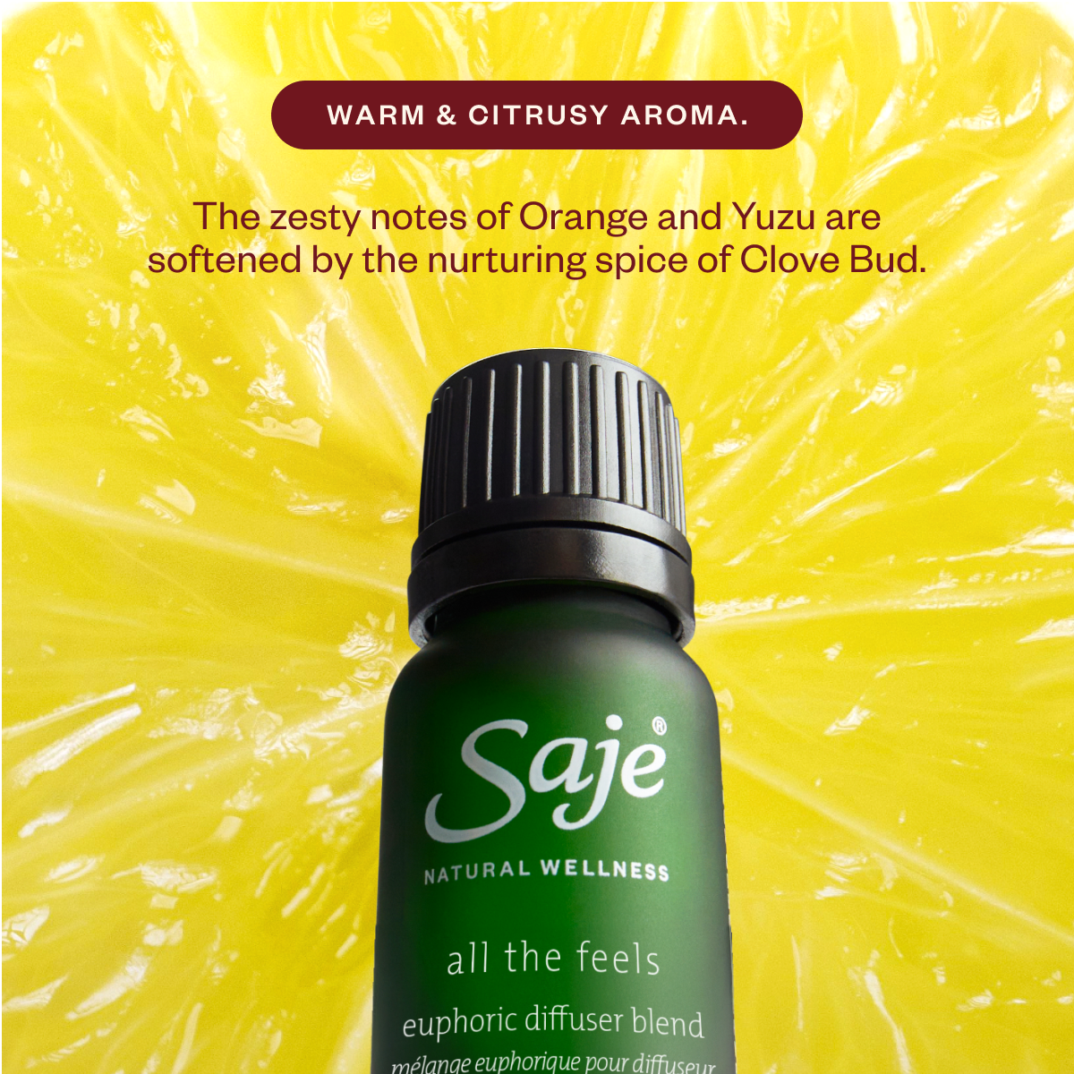 Aroma Light & The Joy Drop