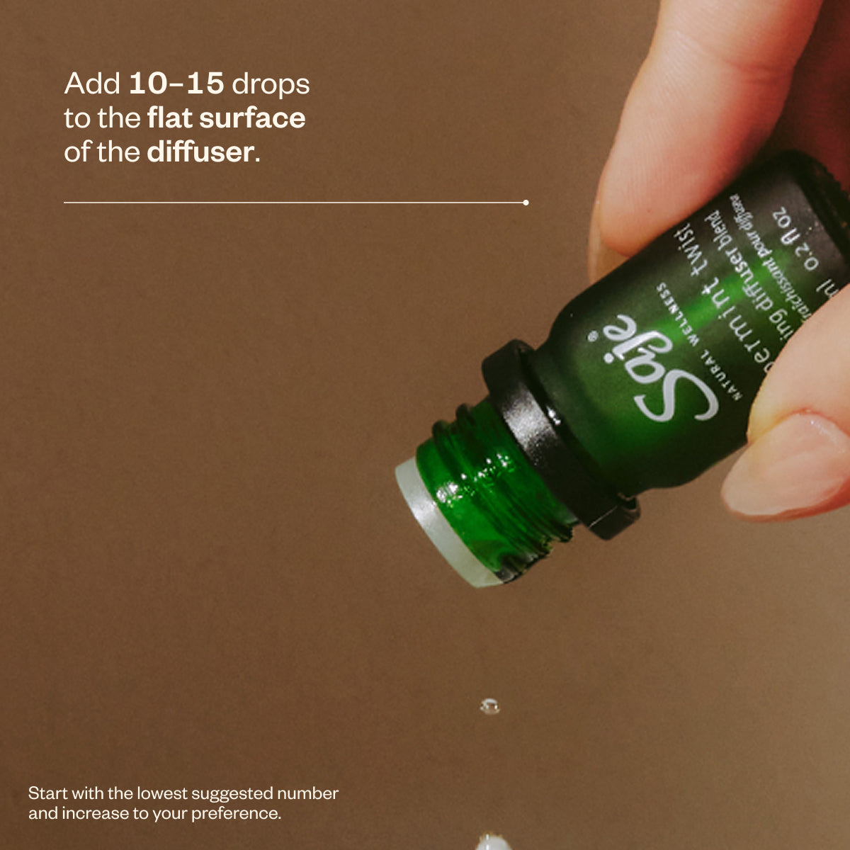 Secret Scenter: After the Rain