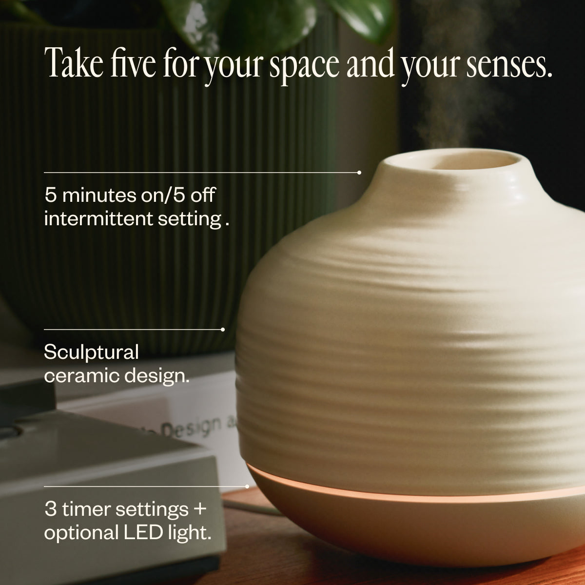 The Cocoon Collection | Sandstone