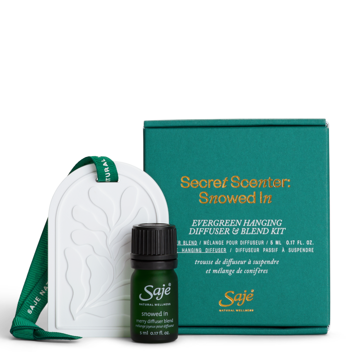 Secret Scenter: Snowed In