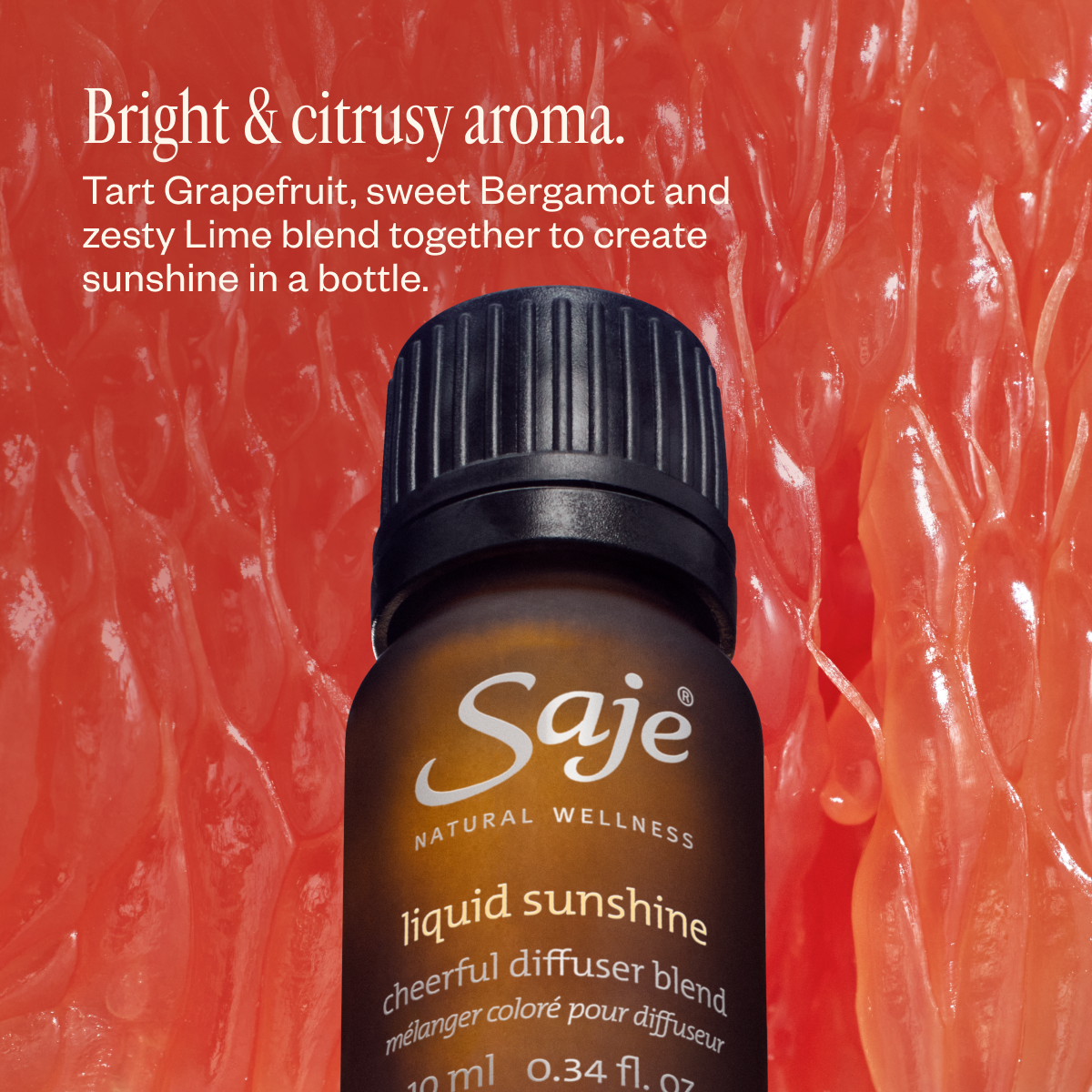 Aroma Cocoon & Liquid Sunshine