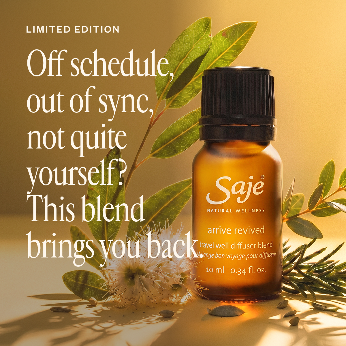 Arrive Revived Travel Well Diffuser Blend - Saje Natural Wellness